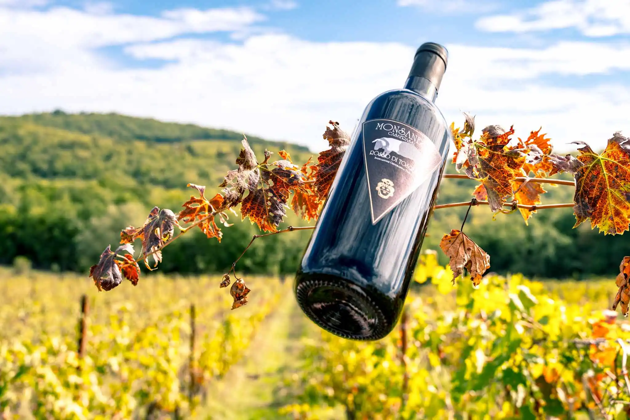 Bottiglia di vino rosso con sfondo di un campo di viti